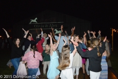 HANDS IN THE AYER!!!  Wedding at Private Residence in Bluemont, Virginia by Dominion Wedding Entertainment