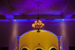 Programmable Intelligent LED Uplighting.
Wedding at Morais Vineyards and Winery in Bealeton, Virginia by Dominion Wedding Entertainment